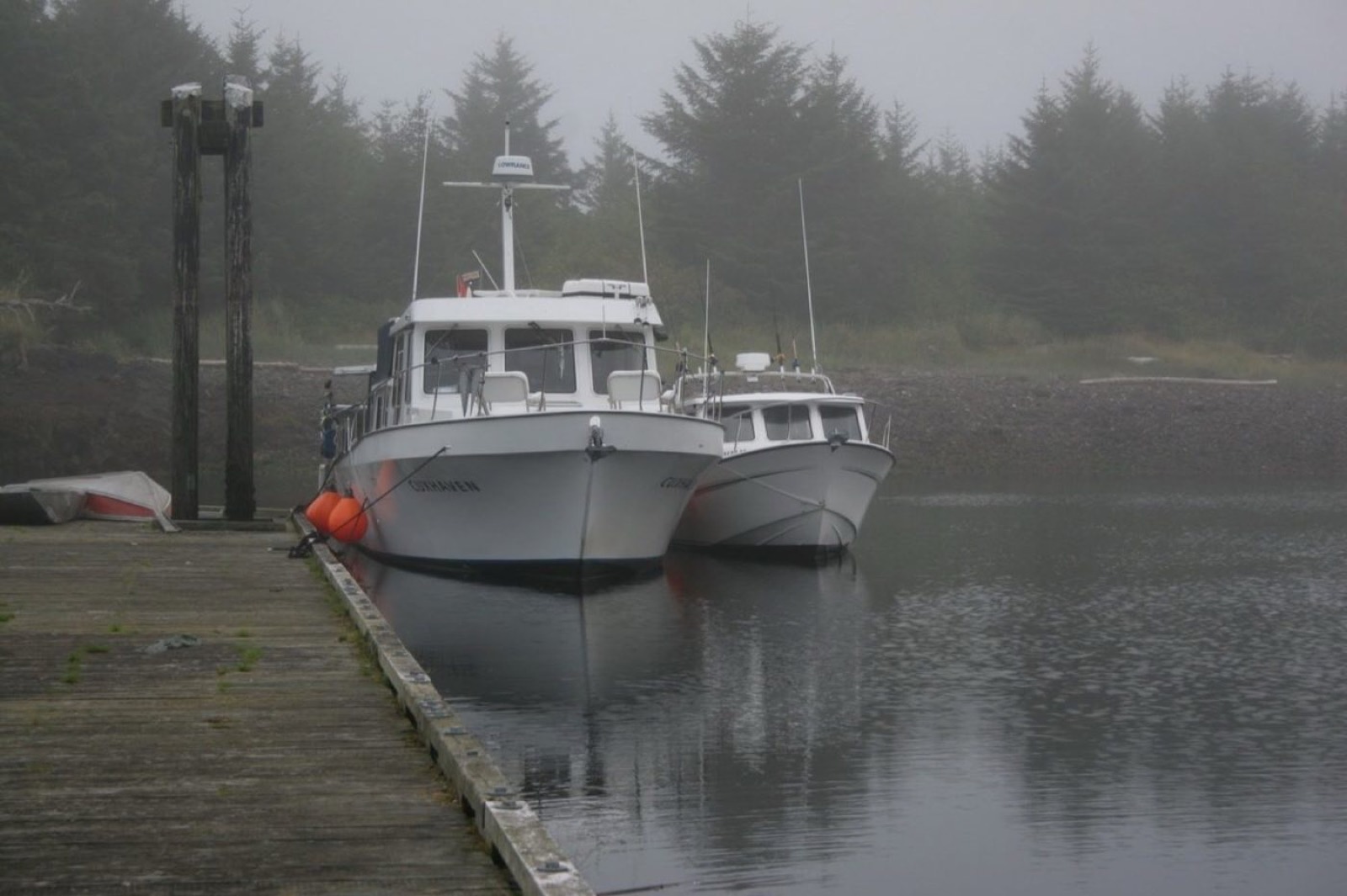 Working boats tied up at a foggy north-coast dock backed by spruce forest