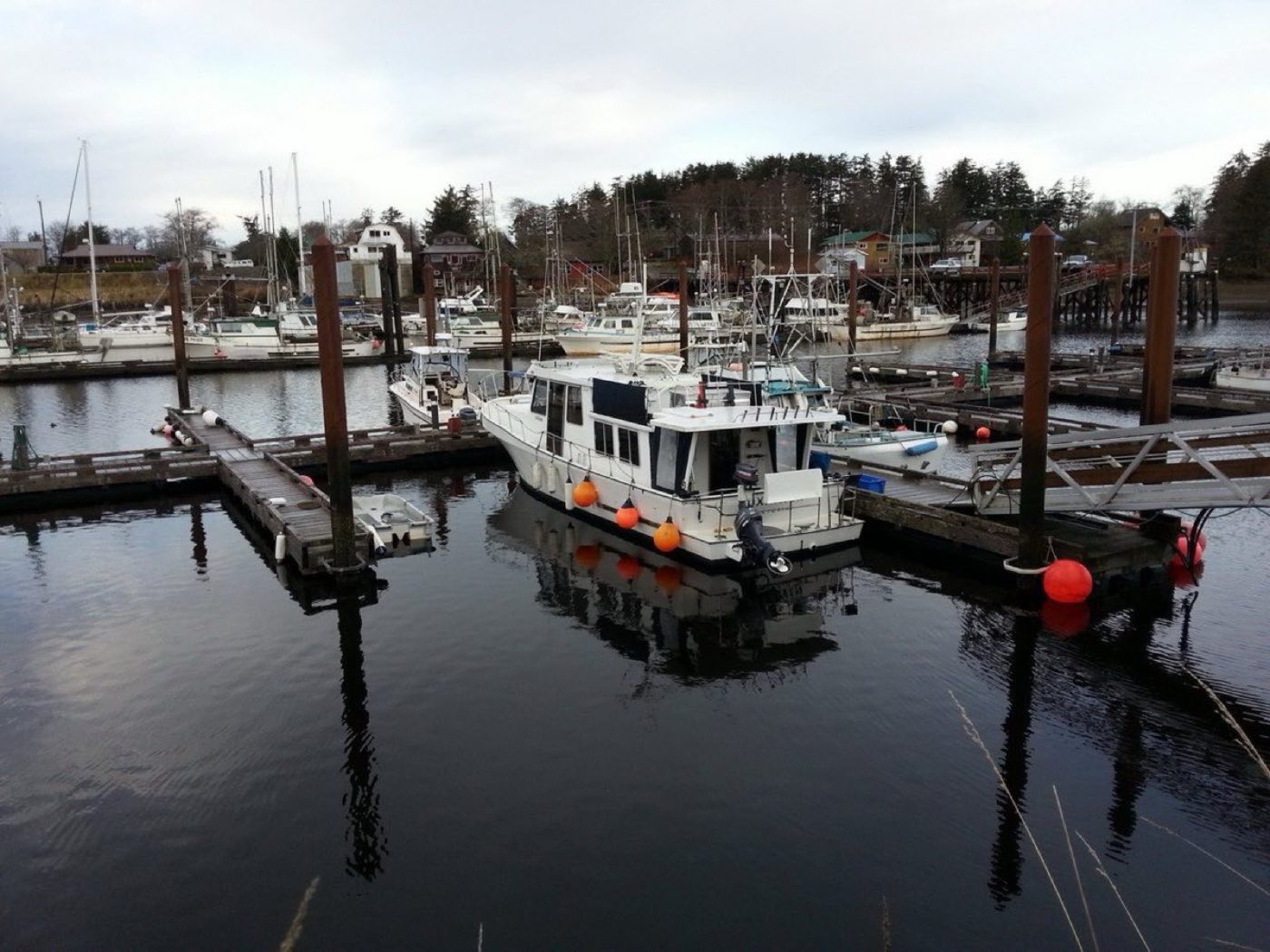 North-coast harbour town with working boats moored below houses on a wooded hillside